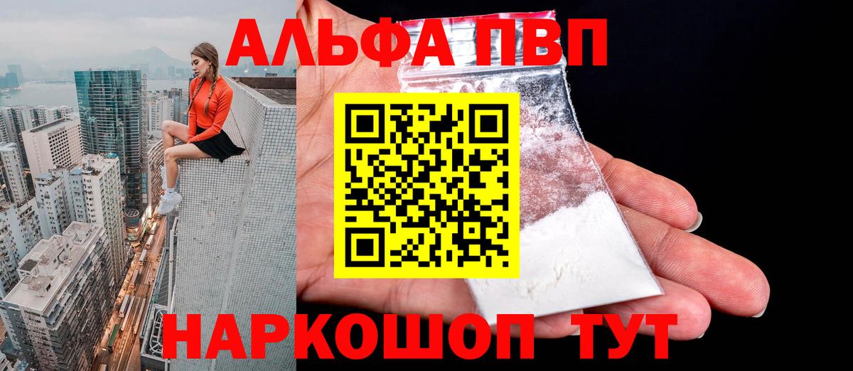 A PVP СК КРИС Зеленогорск