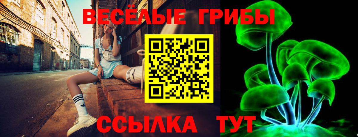 Псилоцибиновые грибы Cubensis  Псилоцибиновые грибы прущие грибы  Зеленогорск  Вход с VPN 
