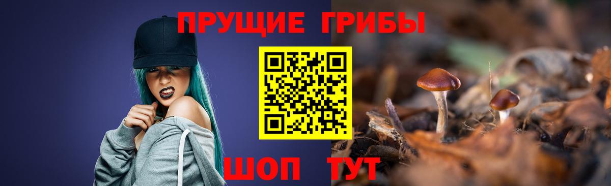 Псилоцибиновые грибы GOLDEN TEACHER Зеленогорск